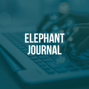 Penn Credit Corporation Elephant Journal